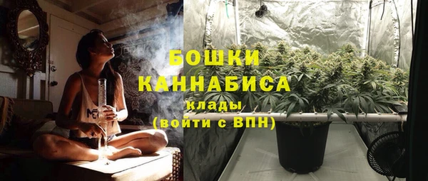 сатива Красноперекопск