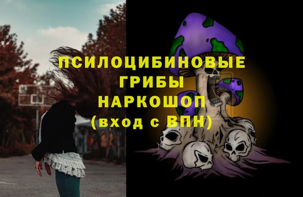 сатива Красноперекопск