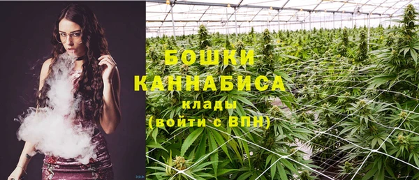 сатива Красноперекопск